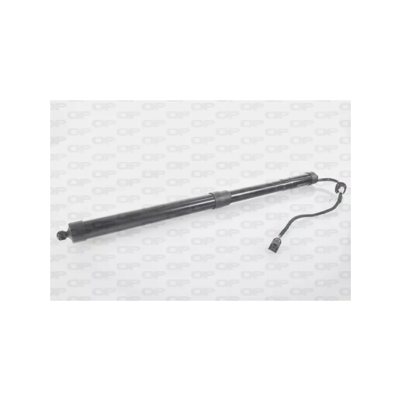 Moteur électrique, hayon OPEN PARTS GSE7026.00