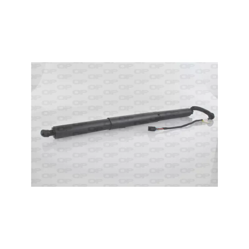 Moteur électrique, hayon OPEN PARTS GSE7029.00