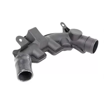 Gaine de suralimentation GOOM