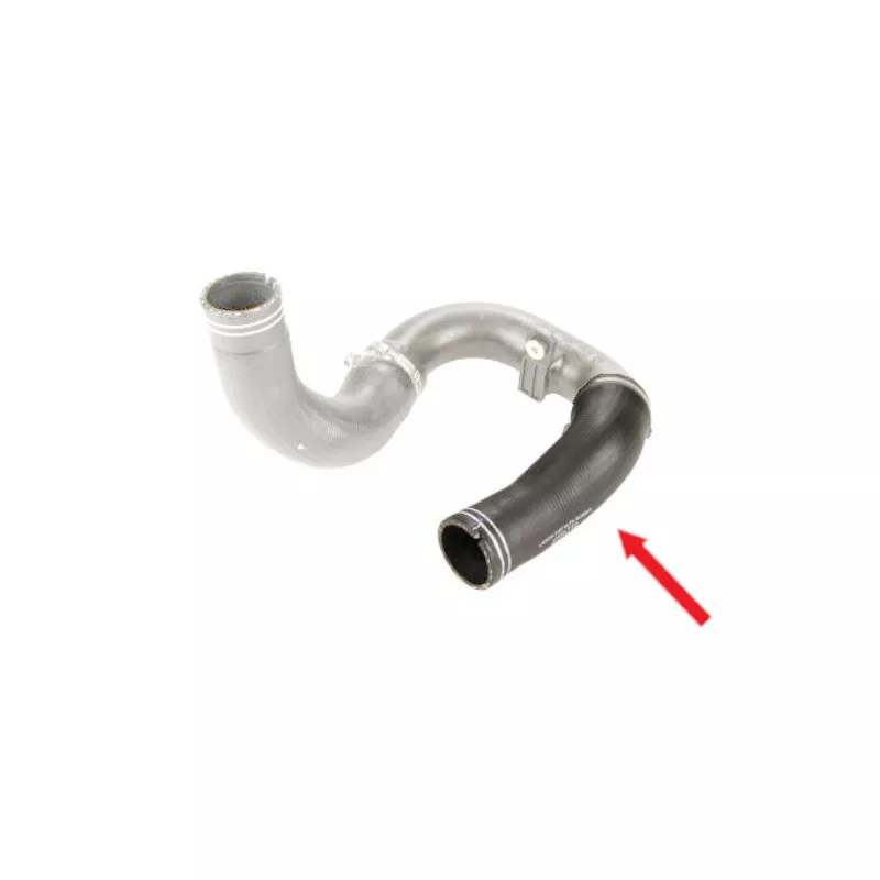 Gaine de suralimentation GOOM AH-1397