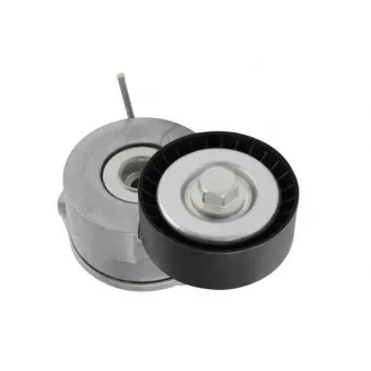 Tendeur de courroie, courroie trapézoïdale à nervures GOOM BT-0045