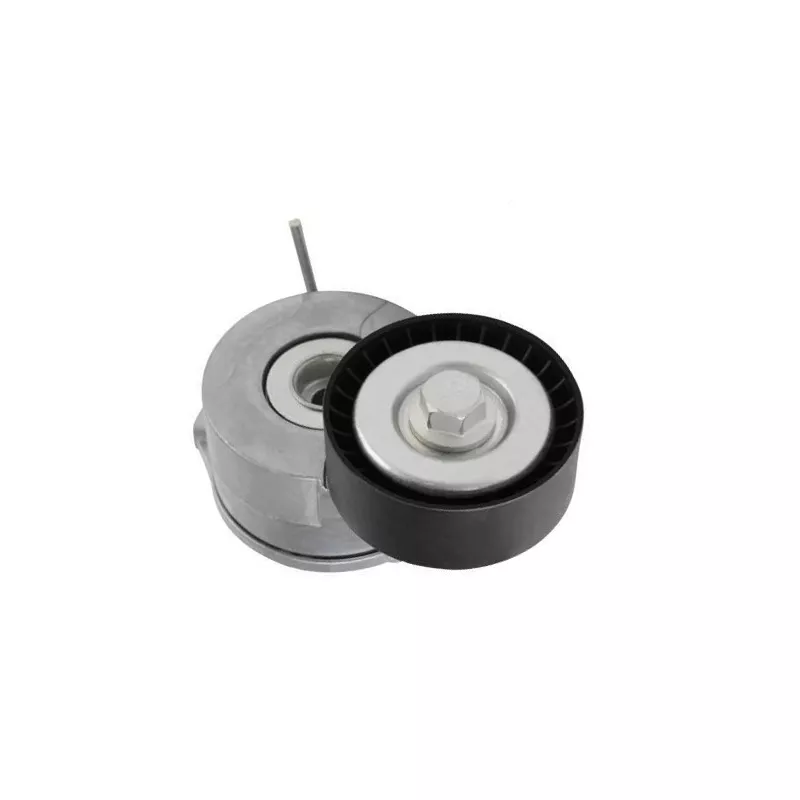 Tendeur de courroie, courroie trapézoïdale à nervures GOOM BT-0045