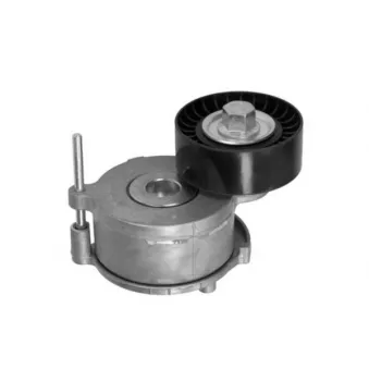 Tendeur de courroie, courroie trapézoïdale à nervures GOOM BT-0053