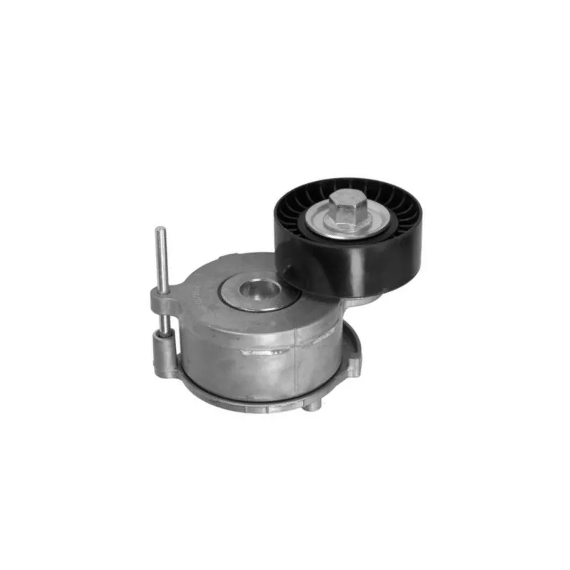 Tendeur de courroie, courroie trapézoïdale à nervures GOOM BT-0053