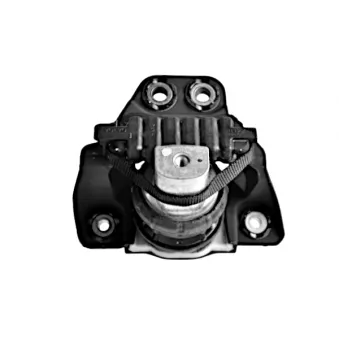 Support moteur avant droit GOOM EM-1244
