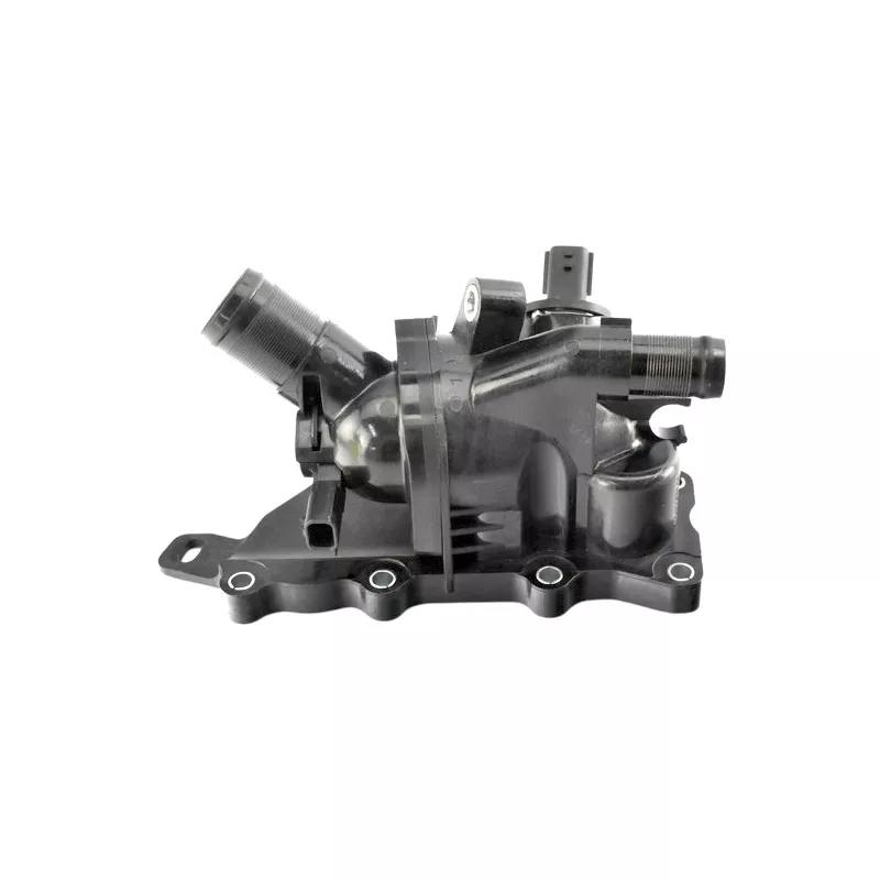 Boîtier du thermostat GOOM THE-0139