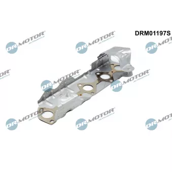 Joint d'étanchéité, collecteur d'échappement Dr.Motor