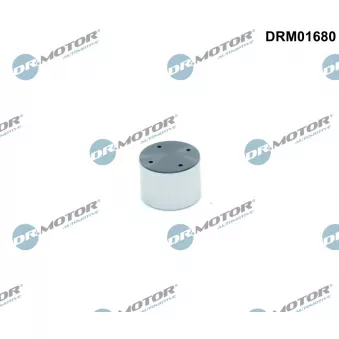 Pilon, Pompe à haute pression Dr.Motor