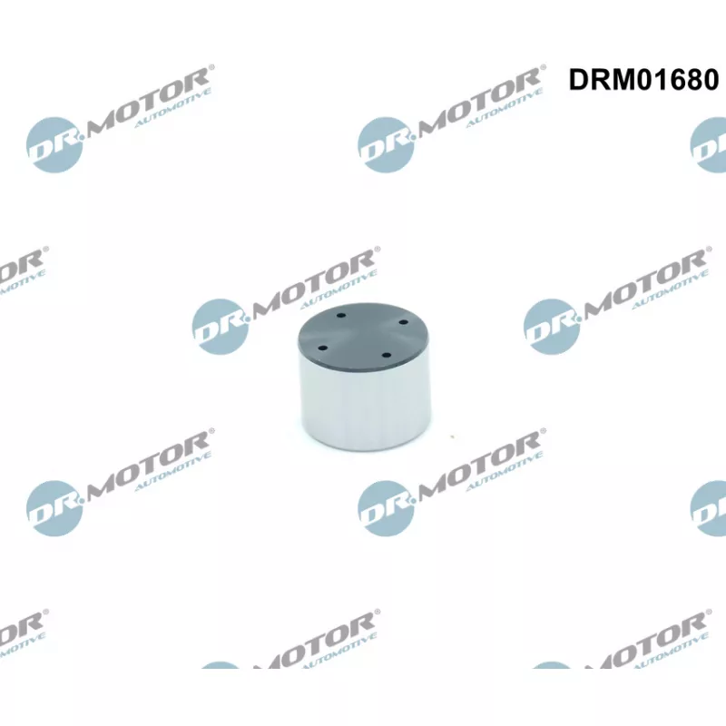Pilon, Pompe à haute pression Dr.Motor DRM01680