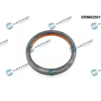 Bague d'étanchéité, vilebrequin Dr.Motor