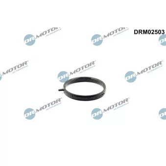 Joint, tuyau de liquide de refroidissement Dr.Motor DRM02503