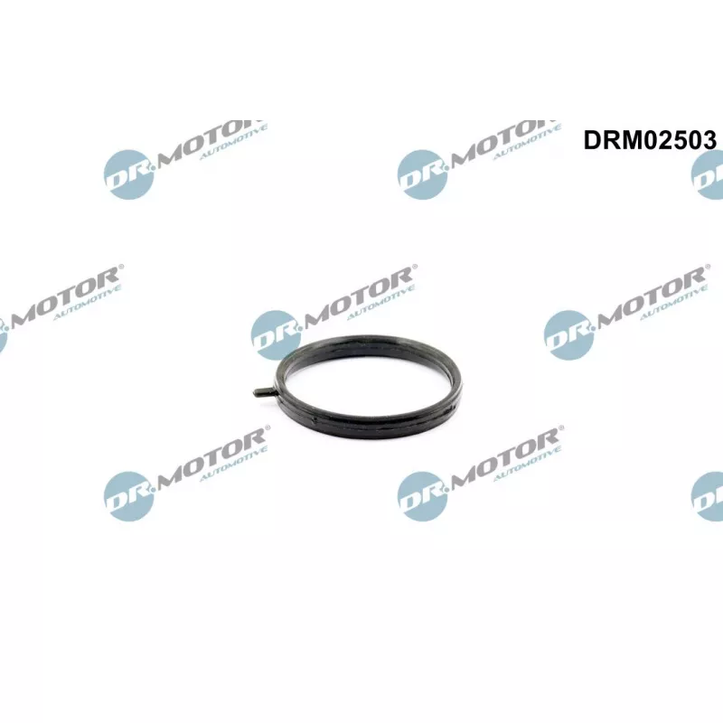 Joint, tuyau de liquide de refroidissement Dr.Motor DRM02503