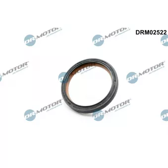 Bague d'étanchéité, vilebrequin Dr.Motor