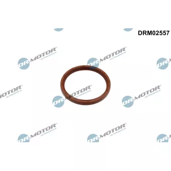 Bague d'étanchéité, vilebrequin Dr.Motor DRM02557