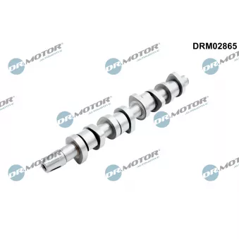 Arbre à came Dr.Motor DRM02865