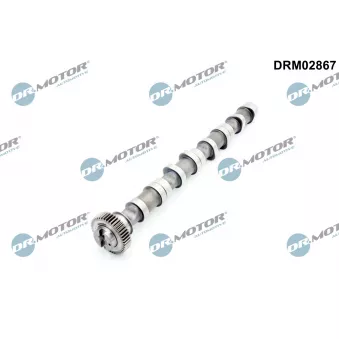 Arbre à came Dr.Motor DRM02867