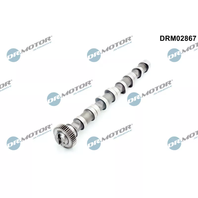 Arbre à came Dr.Motor DRM02867