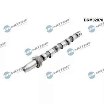 Arbre à came Dr.Motor DRM02870