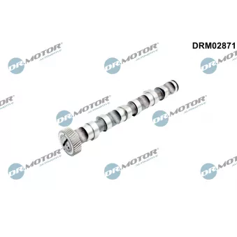 Arbre à came Dr.Motor DRM02871