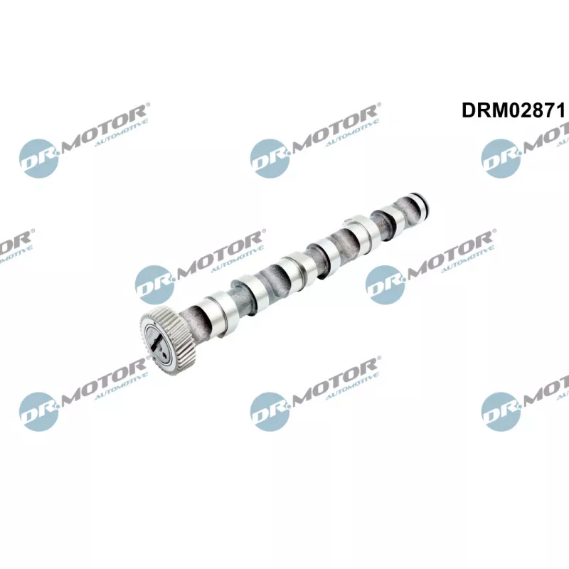 Arbre à came Dr.Motor DRM02871