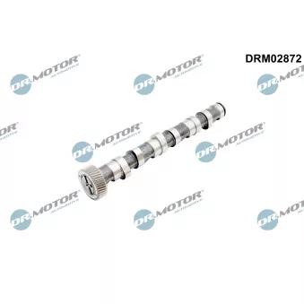 Arbre à came Dr.Motor DRM02872