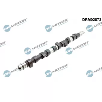 Arbre à came Dr.Motor DRM02873