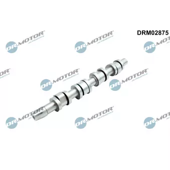 Arbre à came Dr.Motor DRM02875
