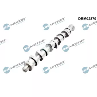 Arbre à came Dr.Motor DRM02879