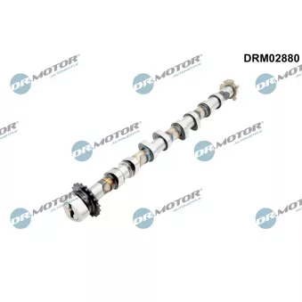 Arbre à came Dr.Motor DRM02880
