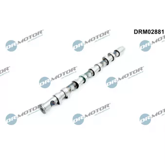 Arbre à came Dr.Motor DRM02881