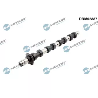 Arbre à came Dr.Motor DRM02887