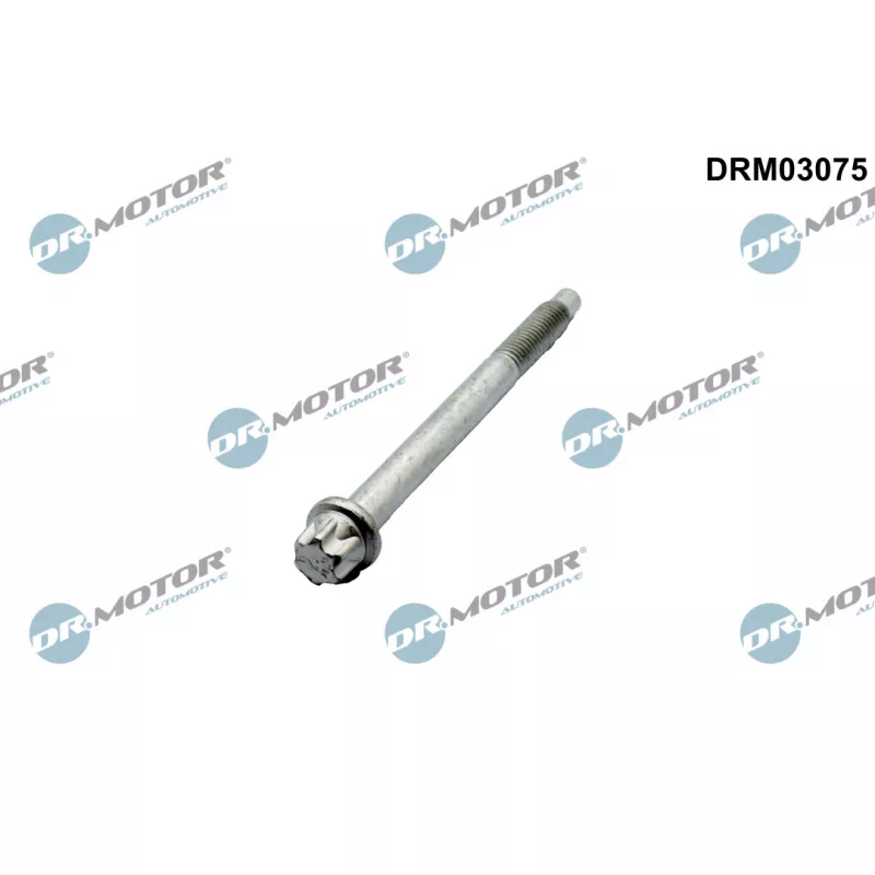 Vis, support pour controleur d'injecteurs Dr.Motor DRM03075