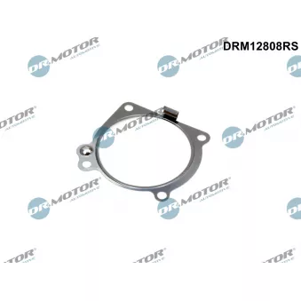 Joint d'étanchéité, collecteur d'admission Dr.Motor DRM12808RS