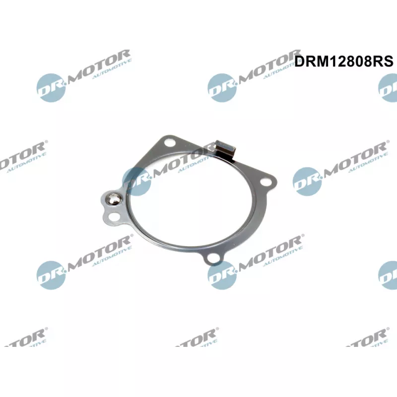 Joint d'étanchéité, collecteur d'admission Dr.Motor DRM12808RS