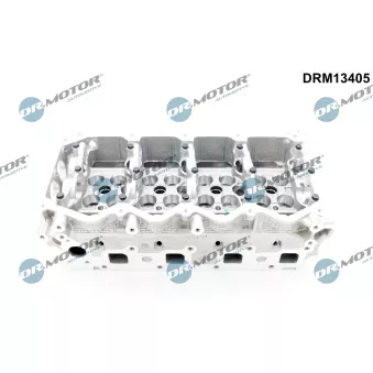 Culasse de cylindre Dr.Motor DRM13405