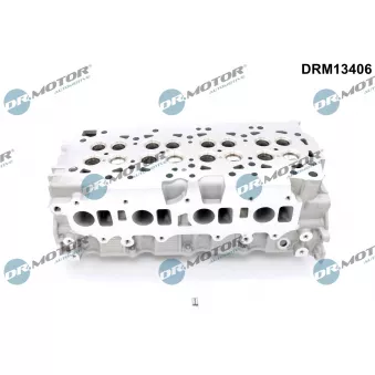 Culasse de cylindre Dr.Motor DRM13406