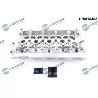 Culasse de cylindre Dr.Motor DRM18403