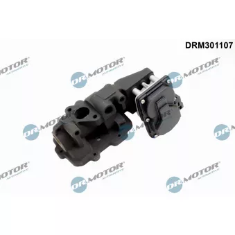 Vanne EGR Dr.Motor