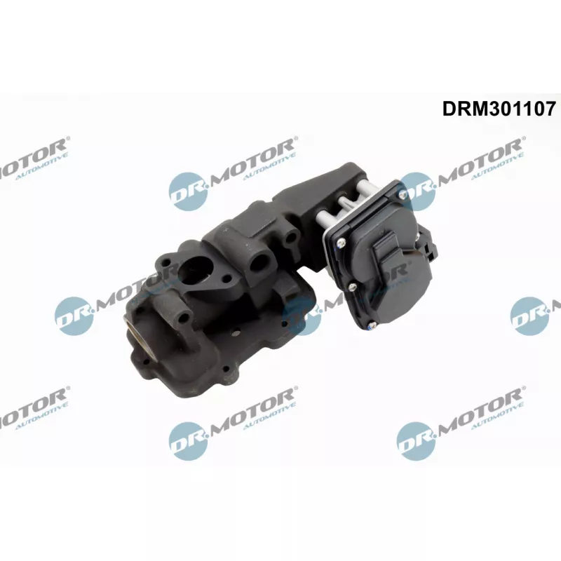 Vanne EGR Dr.Motor DRM301107