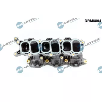 Module de tube d'admission Dr.Motor DRM8804