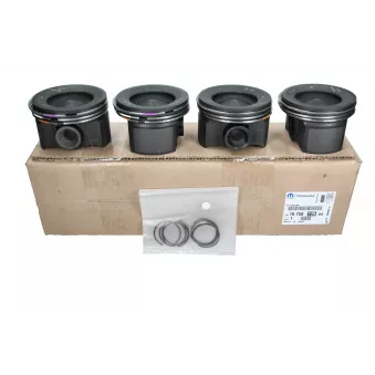 Piston OE 1675873980