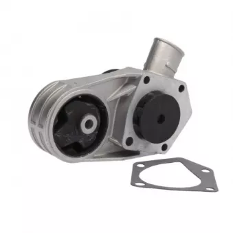Pompe à eau THERMOTEC D1S004TT