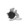 Pompe à eau, refroidissement du moteur SKF VKPC 91871 - Visuel 2
