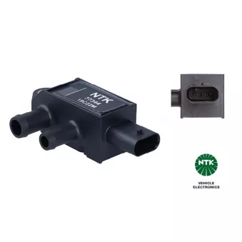 Capteur, pression des gaz échappement NTK 77344