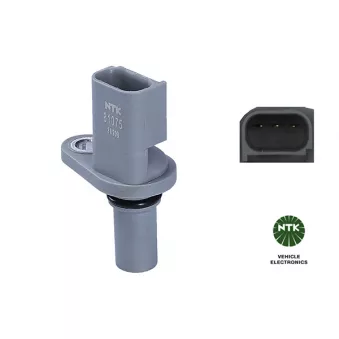 Capteur d'angle, vilebrequin NTK 81115