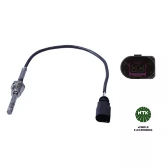 Capteur, température des gaz NTK 93232