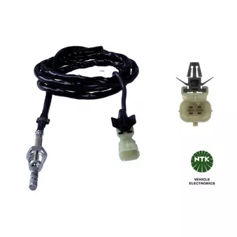 Capteur, température des gaz NTK 94663