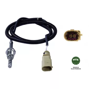 Capteur, température des gaz NTK 94666