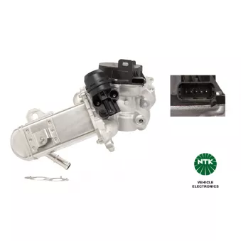 Module-EGR NTK