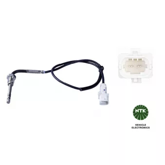 Capteur, température des gaz NTK